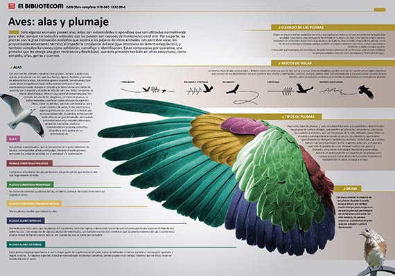 LIBRO-PEDIA Ciencias Naturales - Elbibliote.com